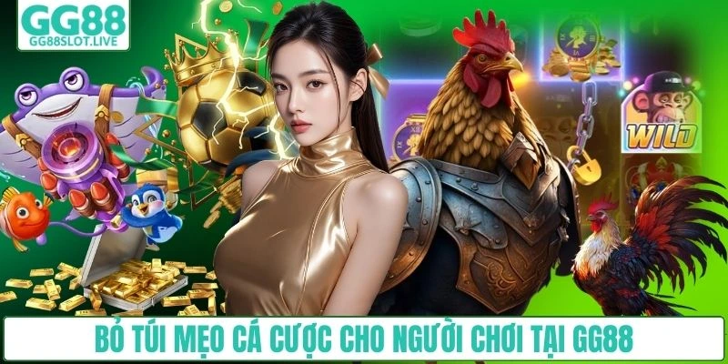 Bỏ túi mẹo cá cược cho người chơi tại GG88